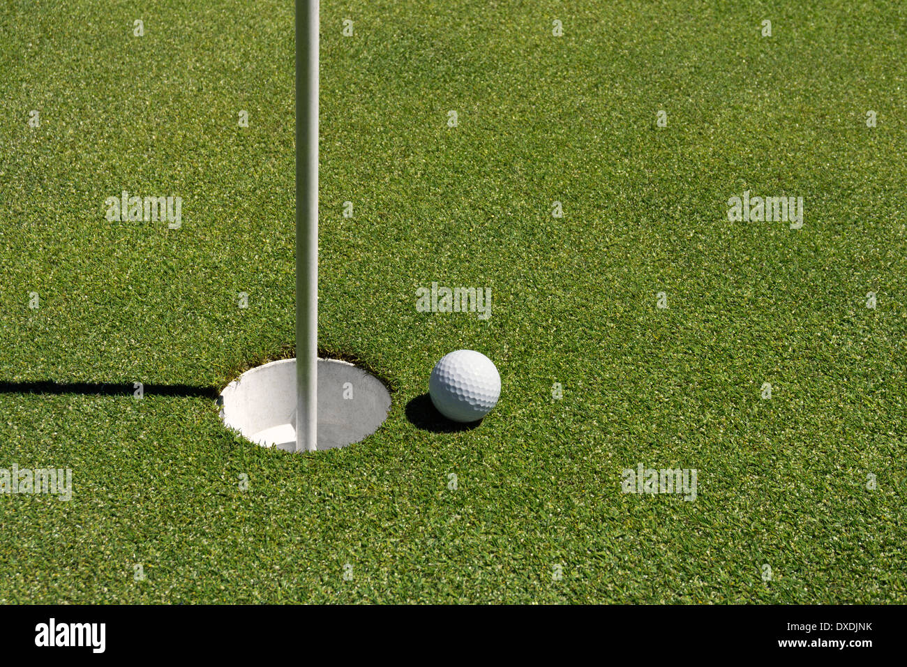 Nahaufnahme von Gimme Ball am Golf Green, Palo Alto, Kalifornien, USA Stockfoto