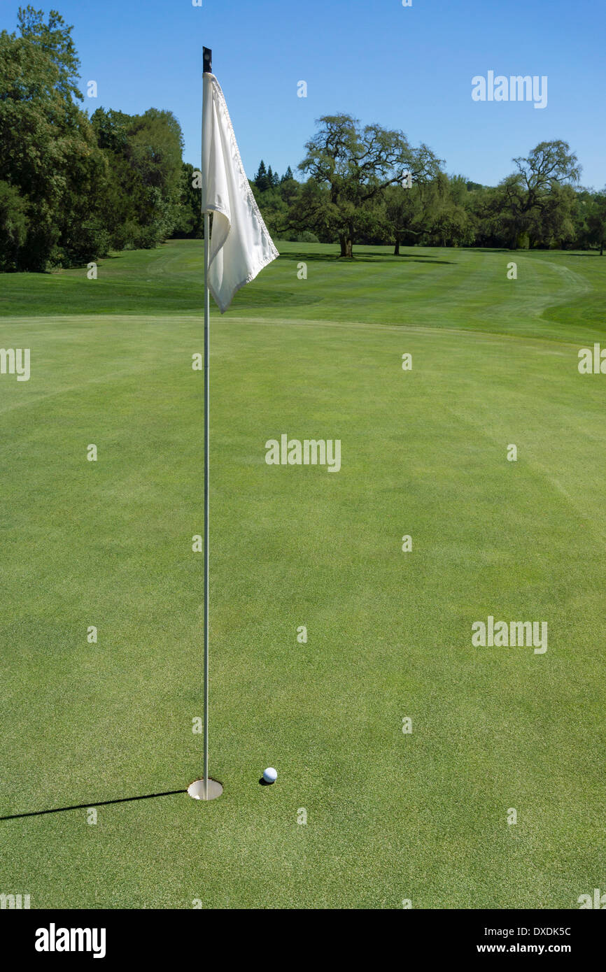 Golfplatz mit Flagge und Tap-in Ball, Palo Alto, Kalifornien, USA Stockfoto