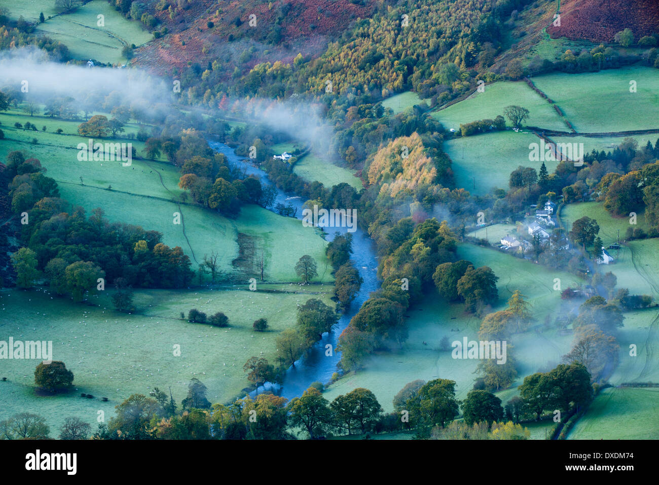 Herbstfärbung und Nebel im Tal Dee (Dyffryn Dyfrdwy) in der Nähe von Llangollen, Denbighshire, Wales Stockfoto