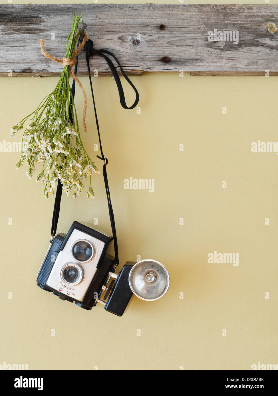 Studioaufnahme von Vintage-Kamera und Blumen Stockfoto