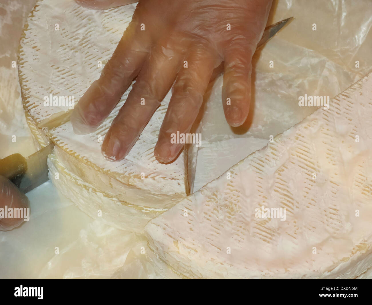 Riesiges Rad Brie Käse, kommerzielle Käse Shop schneiden Mann Stockfoto