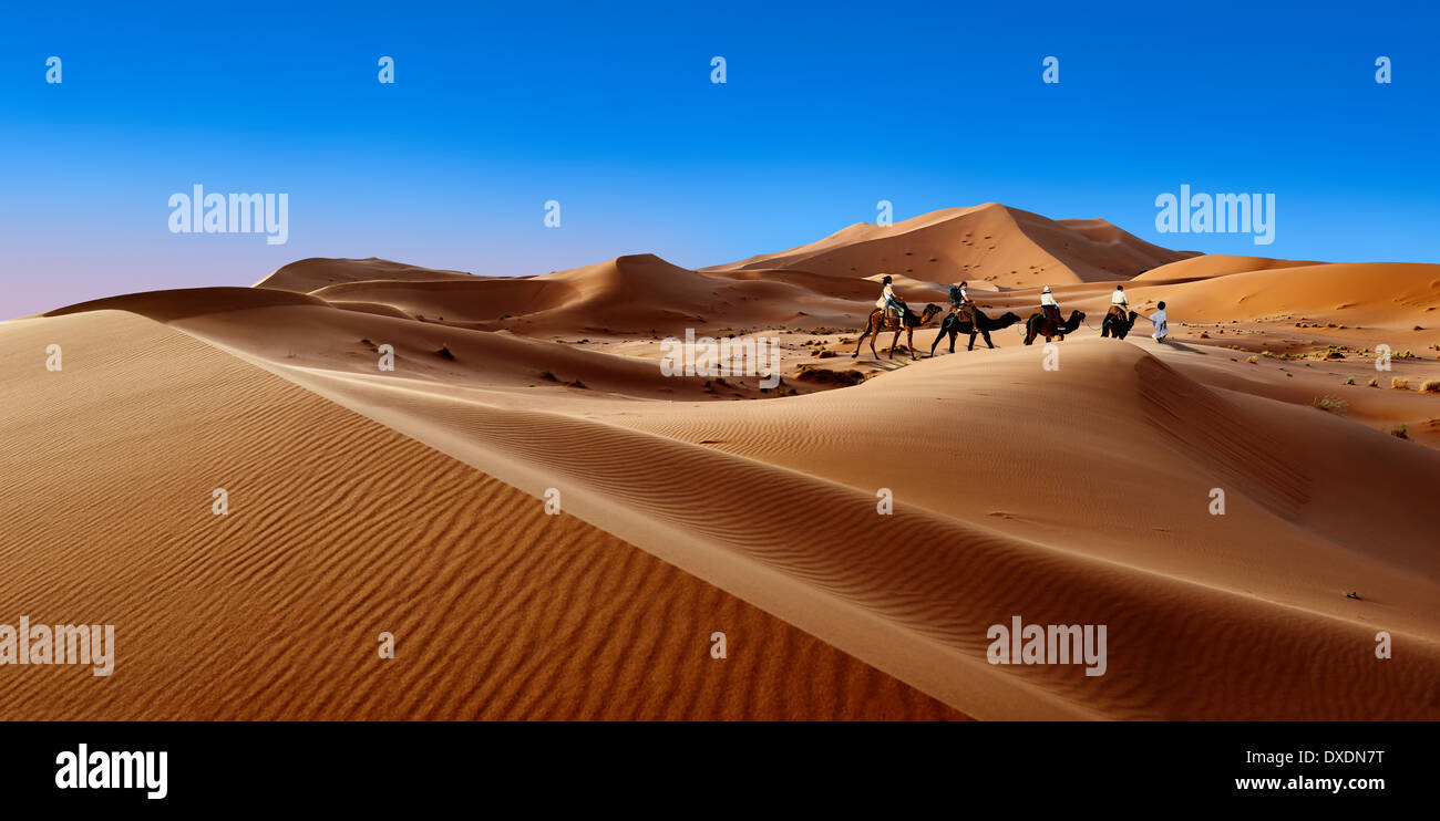 Kamel reitet auf den Sahara-Dünen von Erg Chebbi, Marokko, Afrika Stockfoto
