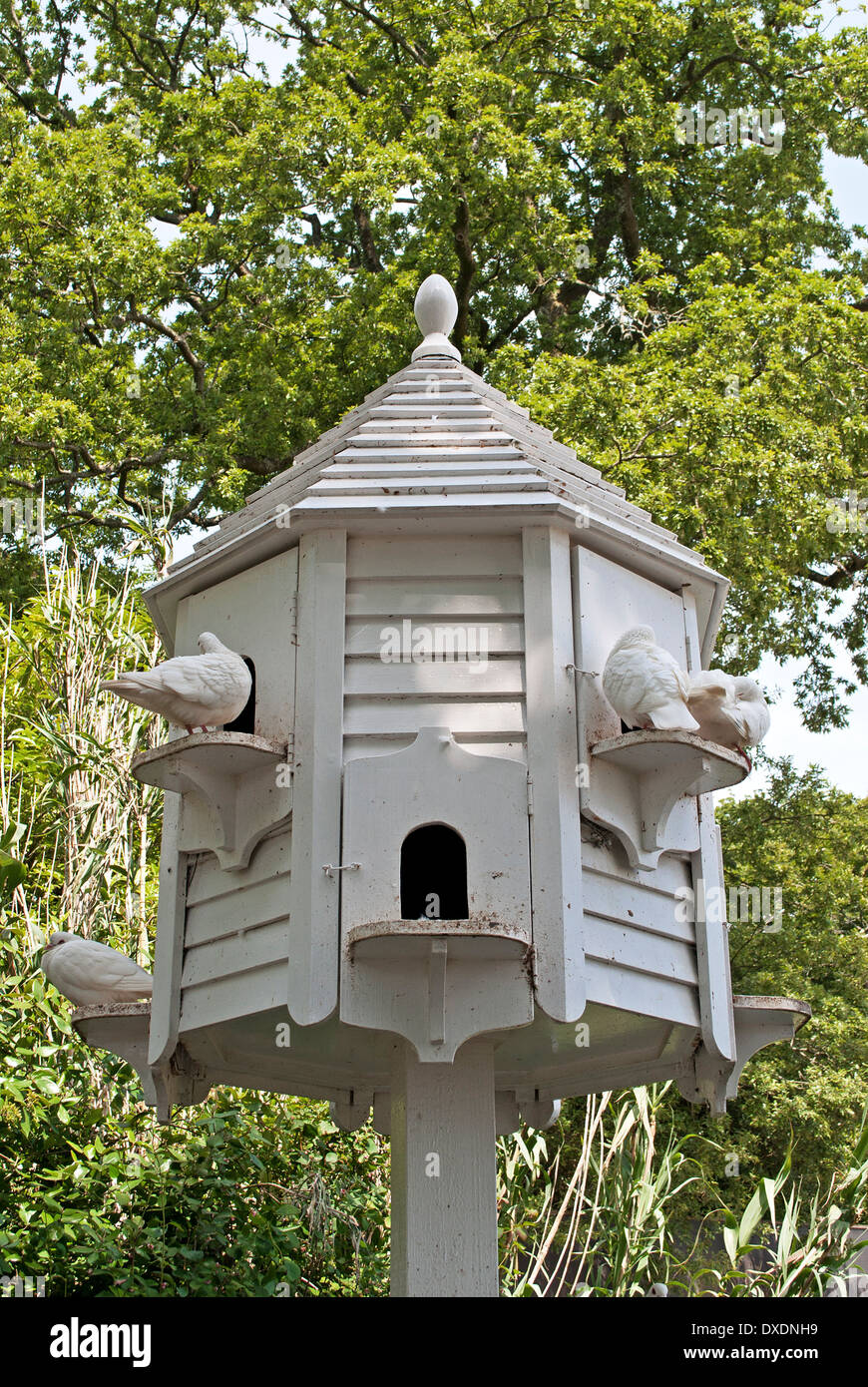 Dekoratives Taubenhaus Aus Holz – Weiß, Wetterfest, Mit Metallhülse, 88 Cm Hoch