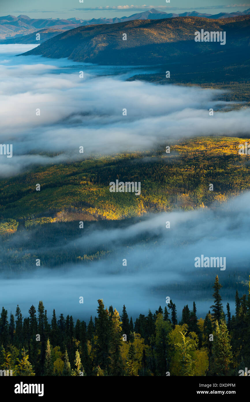 Nebel im Tal des Flusses Yukon im Morgengrauen, stromabwärts von Dawson City vom Dome Hill, Yukon Territorien, Kanada Stockfoto