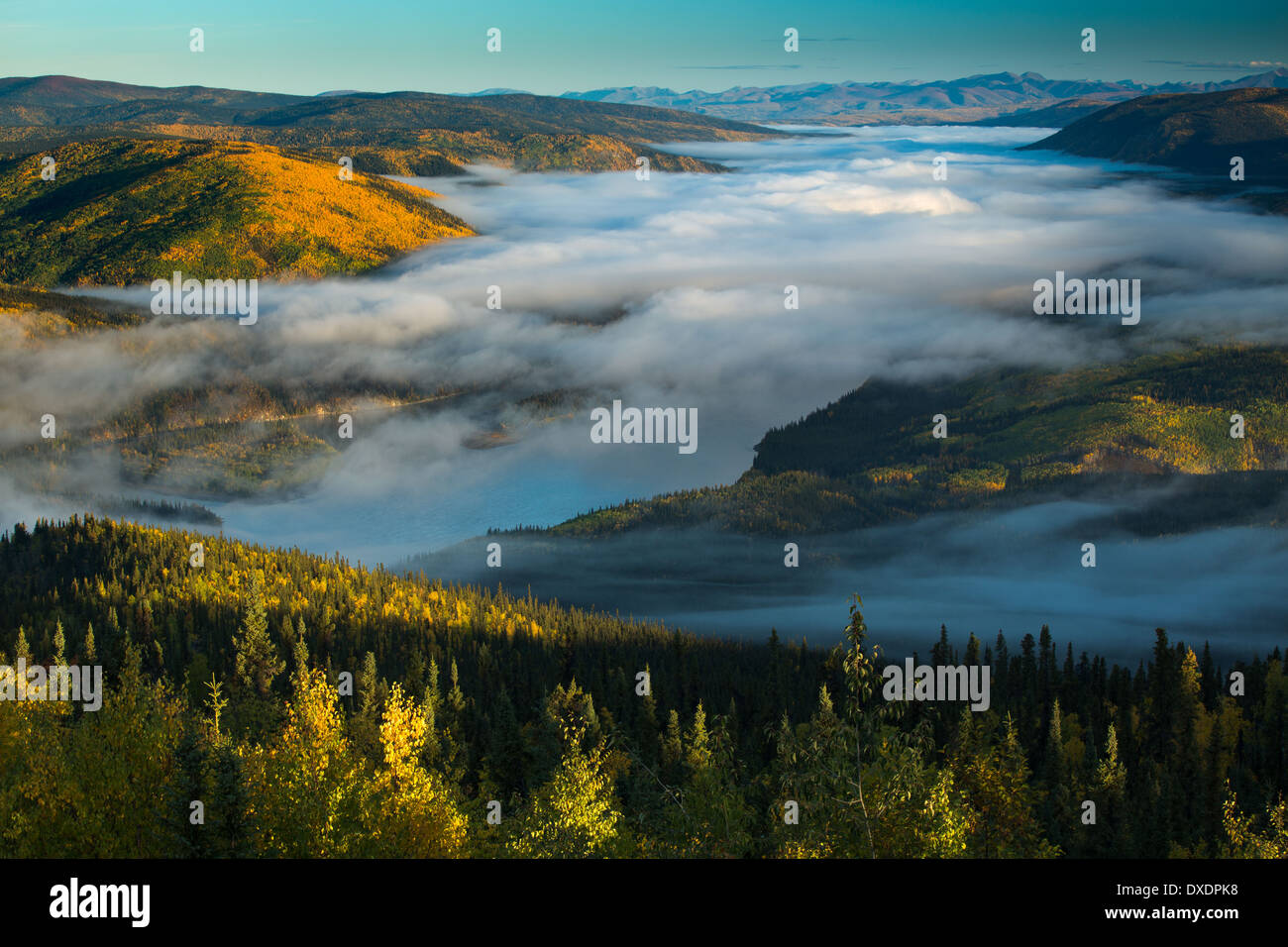 Nebel im Tal des Flusses Yukon im Morgengrauen, stromabwärts von Dawson City vom Dome Hill, Yukon Territorien, Kanada Stockfoto