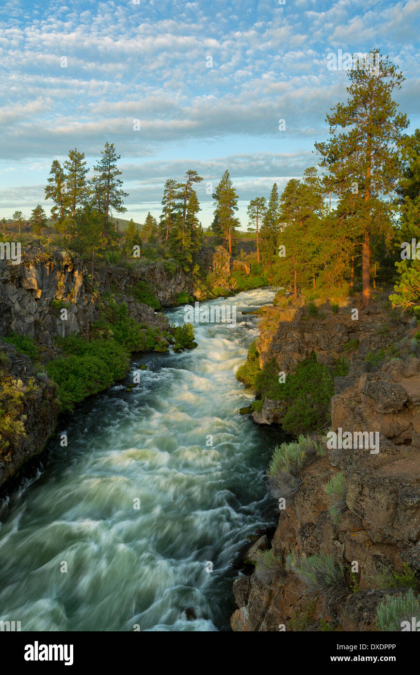 Der Deschutes River in der Nähe von Bend, Oregon. USA Stockfoto