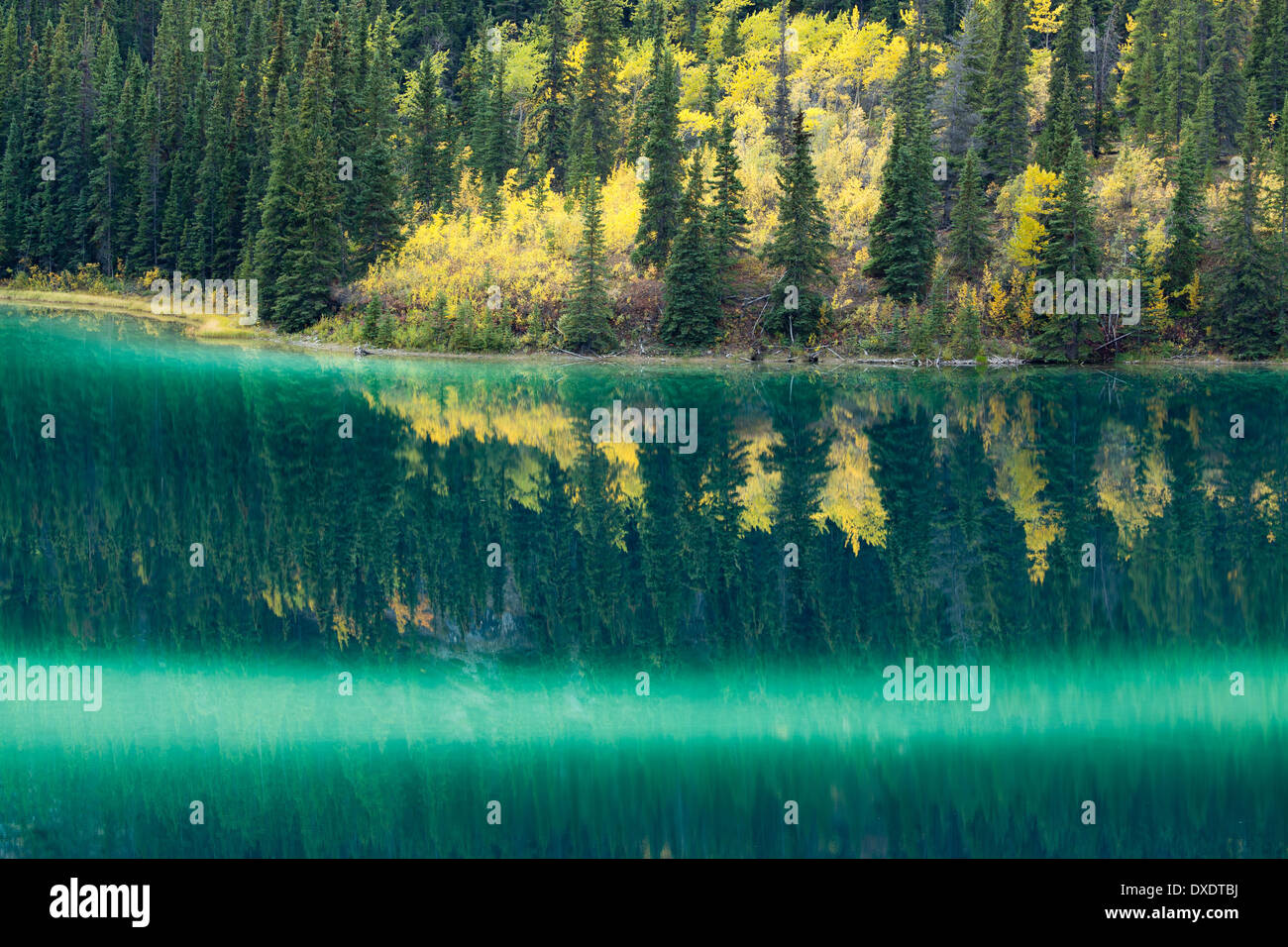 Emerald Lake, nr Carcross, Yukon Territorien, Kanada Stockfoto