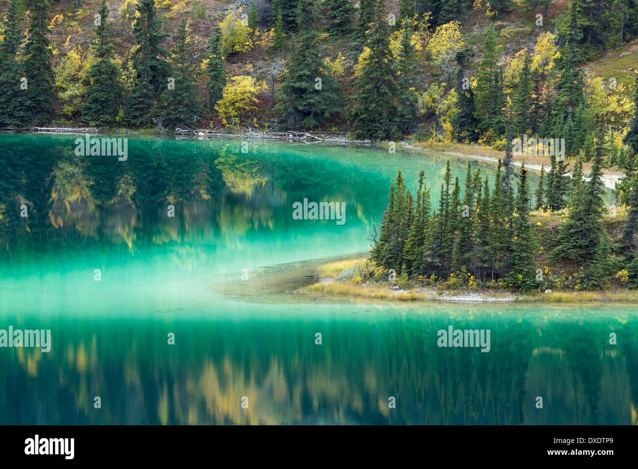 Emerald Lake, nr Carcross, Yukon Territorien, Kanada Stockfoto