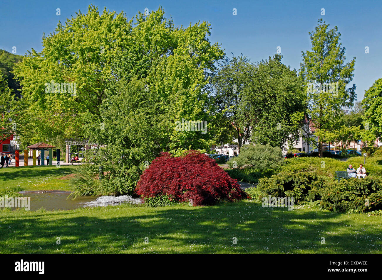 Kurpark, Bad Bergzabern Stockfoto