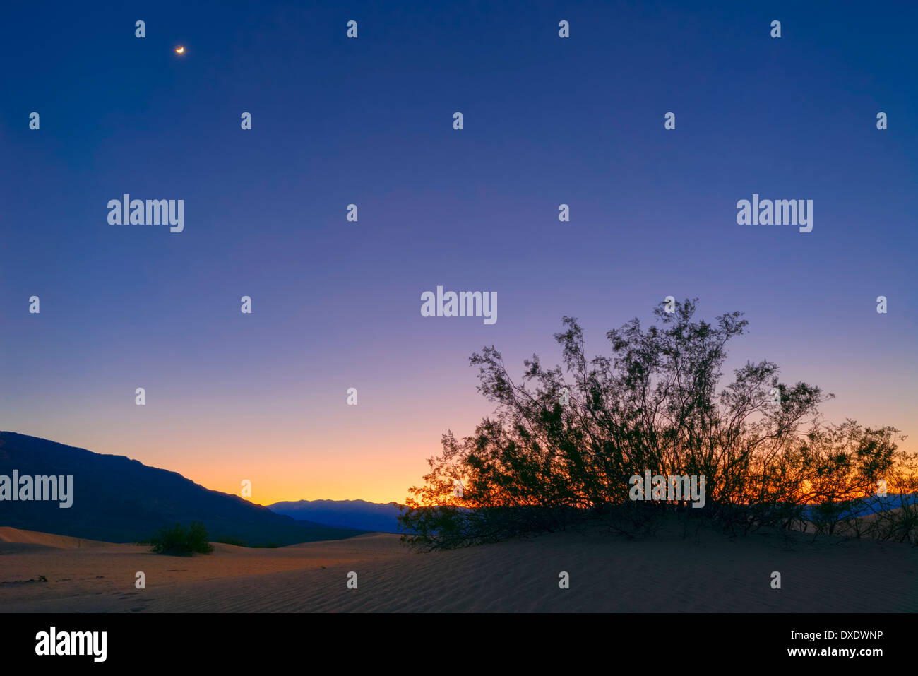 Sonnenuntergang mit Mond, Mesquite Dünen, Kalifornien, USA Stockfoto