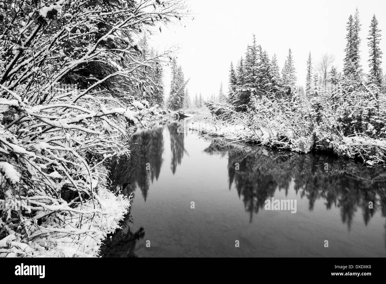 Winter in Alberta, Kanada. Stockfoto
