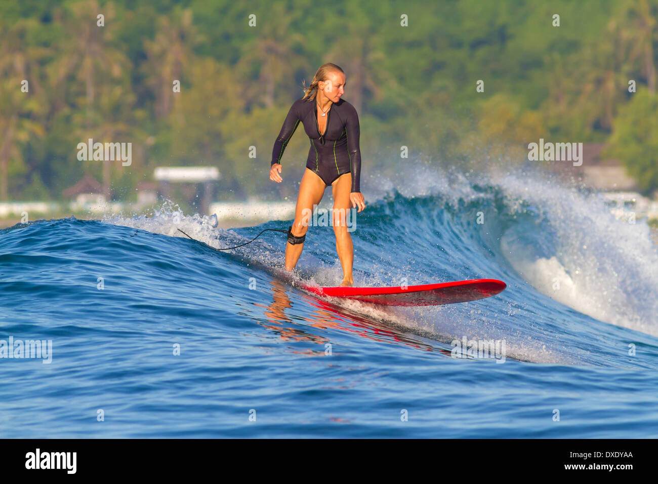 Surfen Sie eine Welle im Indischen Ozean. Insel Lombok. Indonesien. Stockfoto