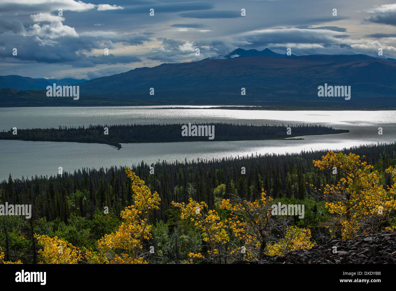 Dezadeash Lake, Yukon Territorien, Kanada Stockfoto
