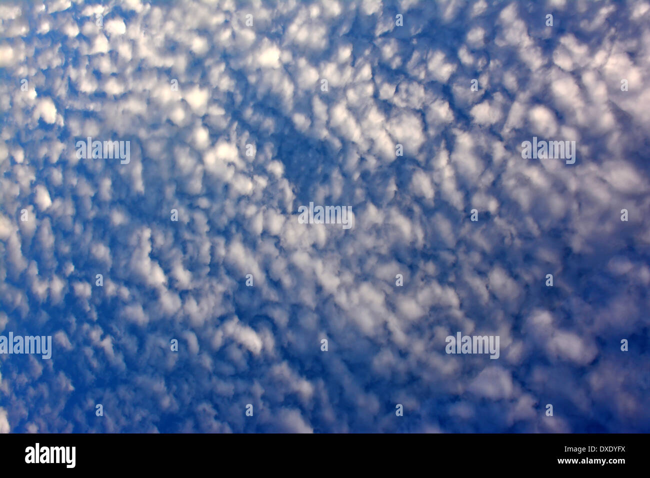 Cirrocumulus Wolken am Himmel Stockfoto