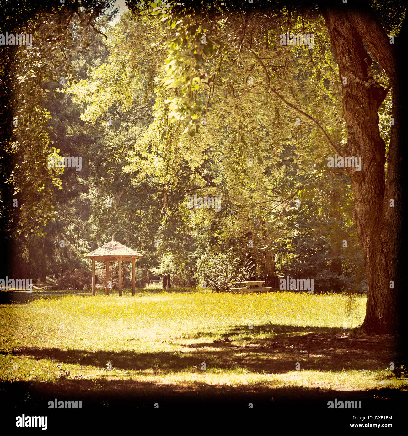 Nette Unterkunft in einem Park mit riesigen Bäumen in einem Vintage-filter Stockfoto