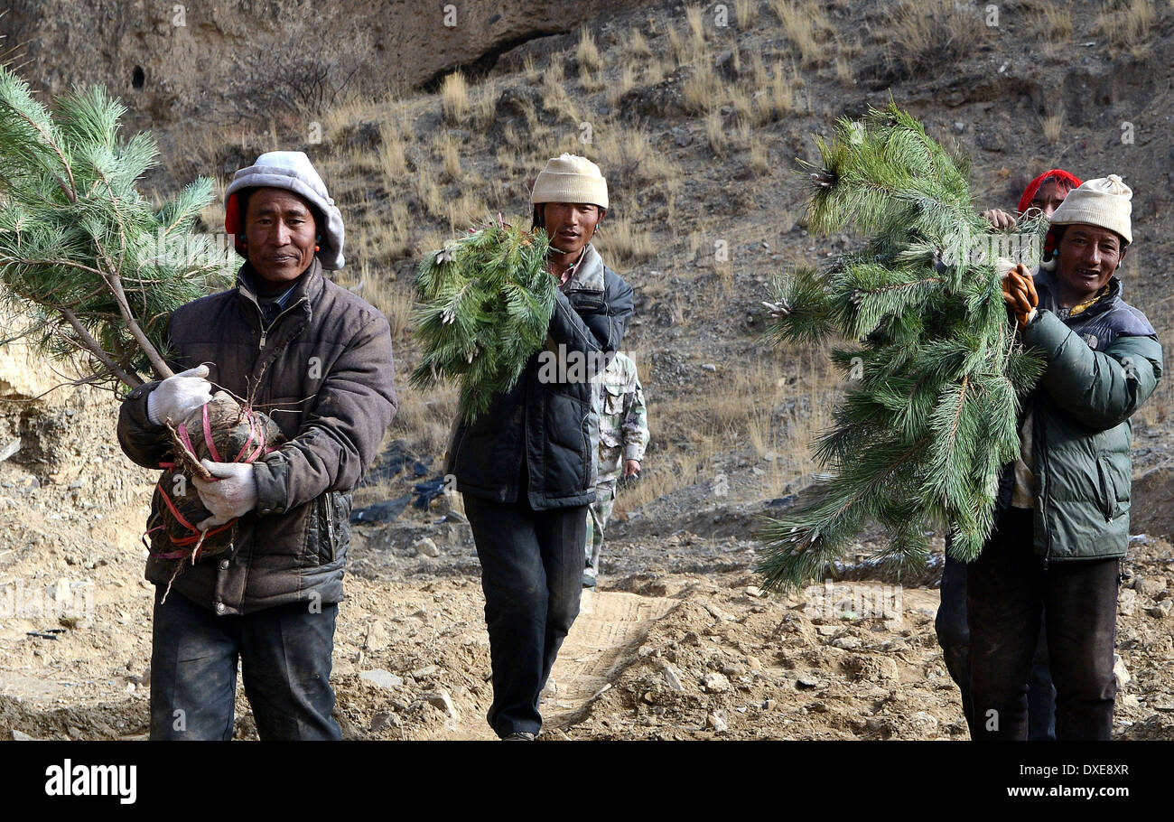 Lhasa, China Tibet autonome Region. 24. März 2014. Arbeiter tragen
