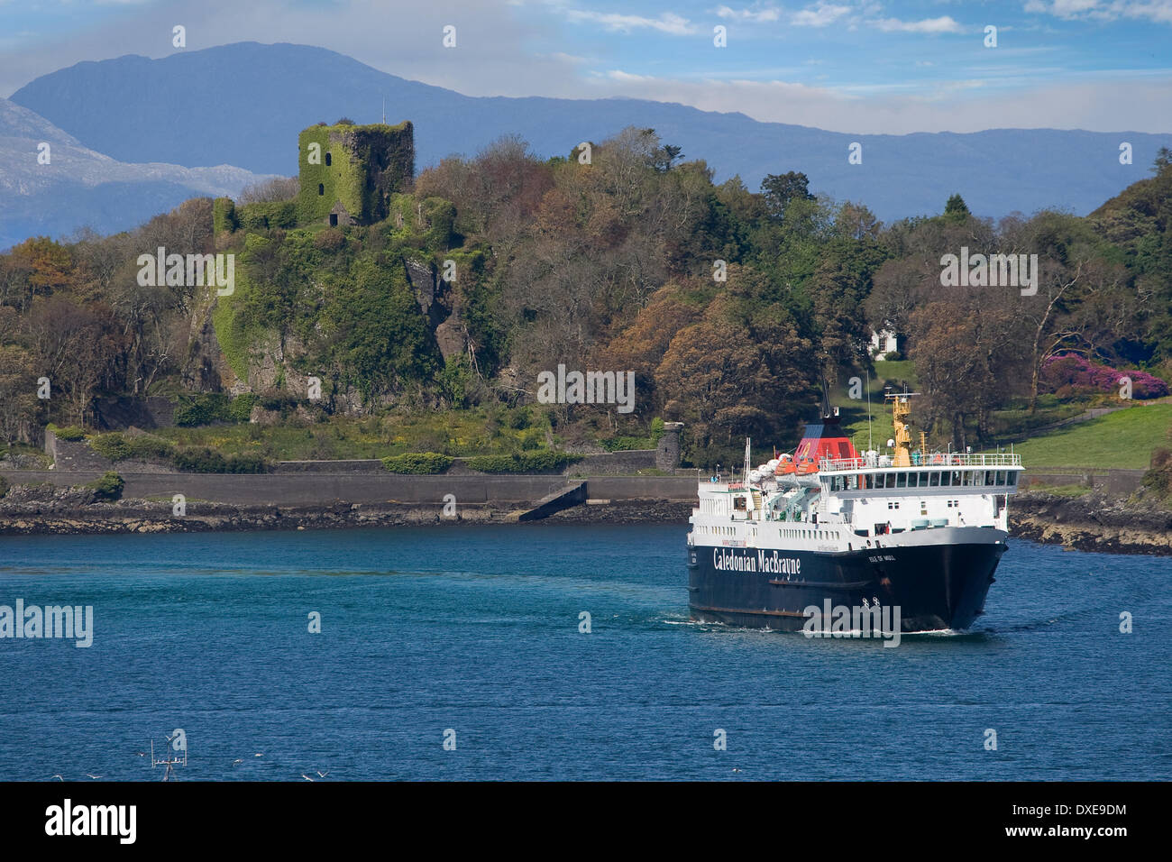 Tele Blick auf das Caledonian MacBrayne Schiff MV Isle of Mull in Oban Bay mit schönsten Schloss & Morvern Hügeln in vie Stockfoto
