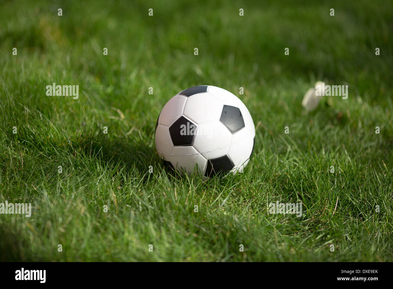Fußball im grünen Rasen im Hinterhof des Hauses liegen. Stockfoto