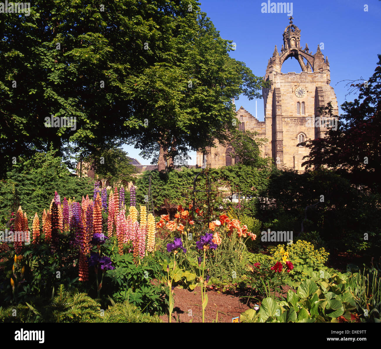 15. Jahrhundert Könige College Chapel, Old Aberdeen. Stockfoto