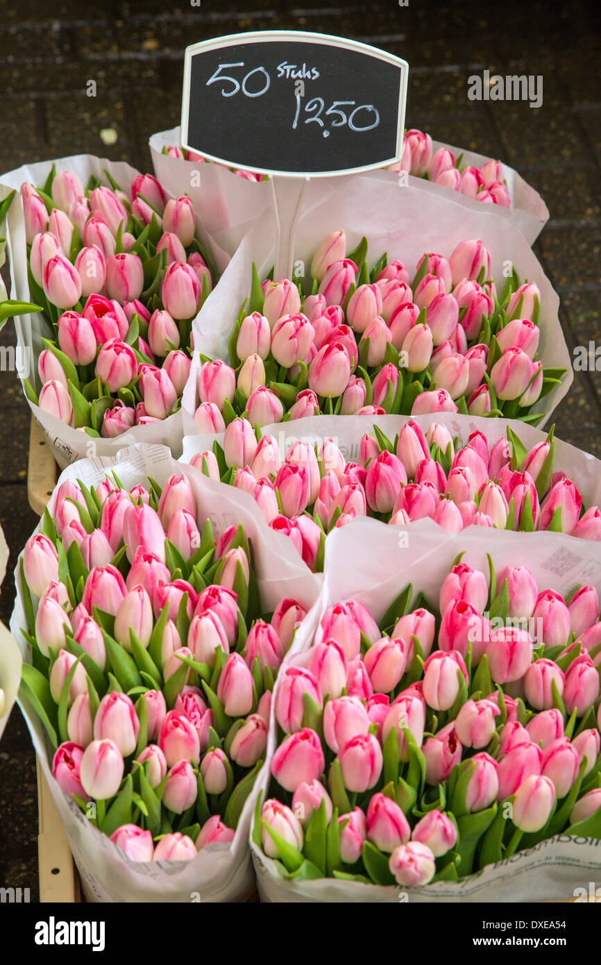 Blüht im Amsterdamer Blumenmarkt Stockfoto