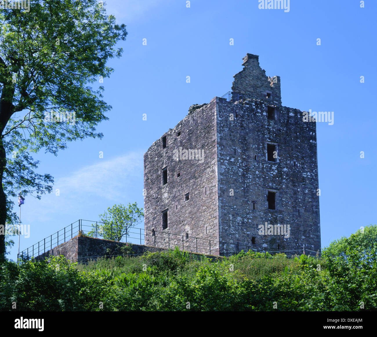 Die Ruinen der Cardoness Burg nr Torhaus der Flotte, Kirkcubrightshire.Dumfries & Galloway. Stockfoto