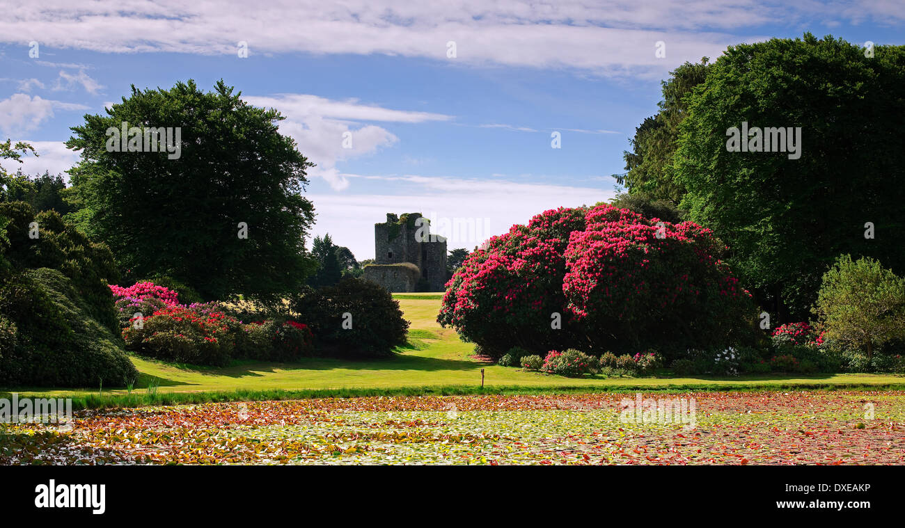Schloss Kennedy, Wigtownshire, Dumfries und Galloway. Stockfoto