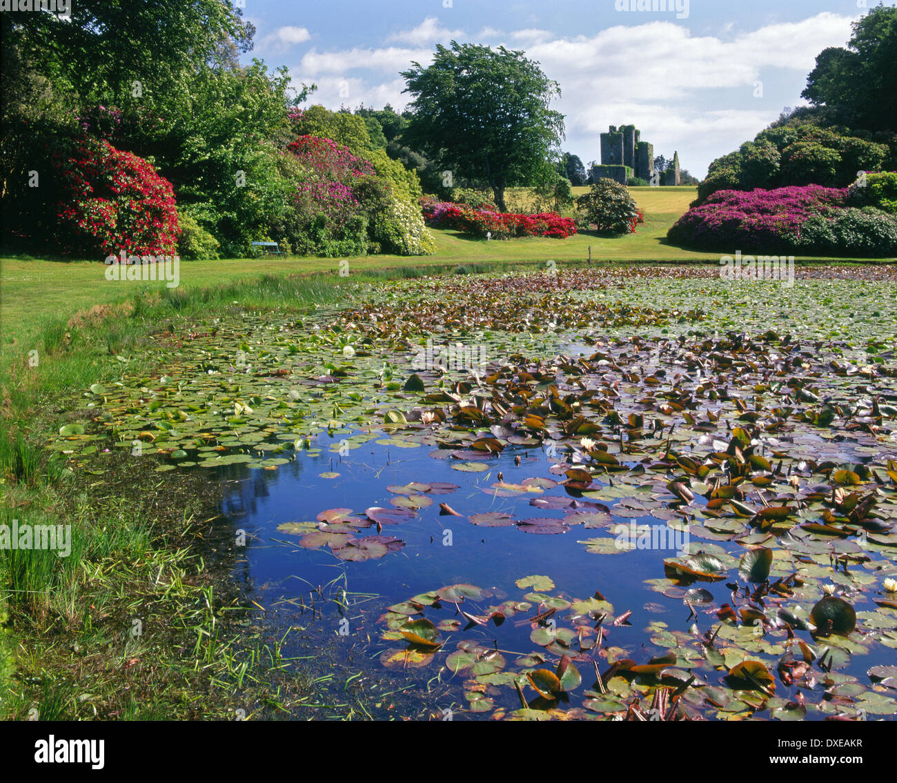 Schloss Kennedy aus unteren Gärten, Dumfries & Galloway, S/W-Schottland. Stockfoto