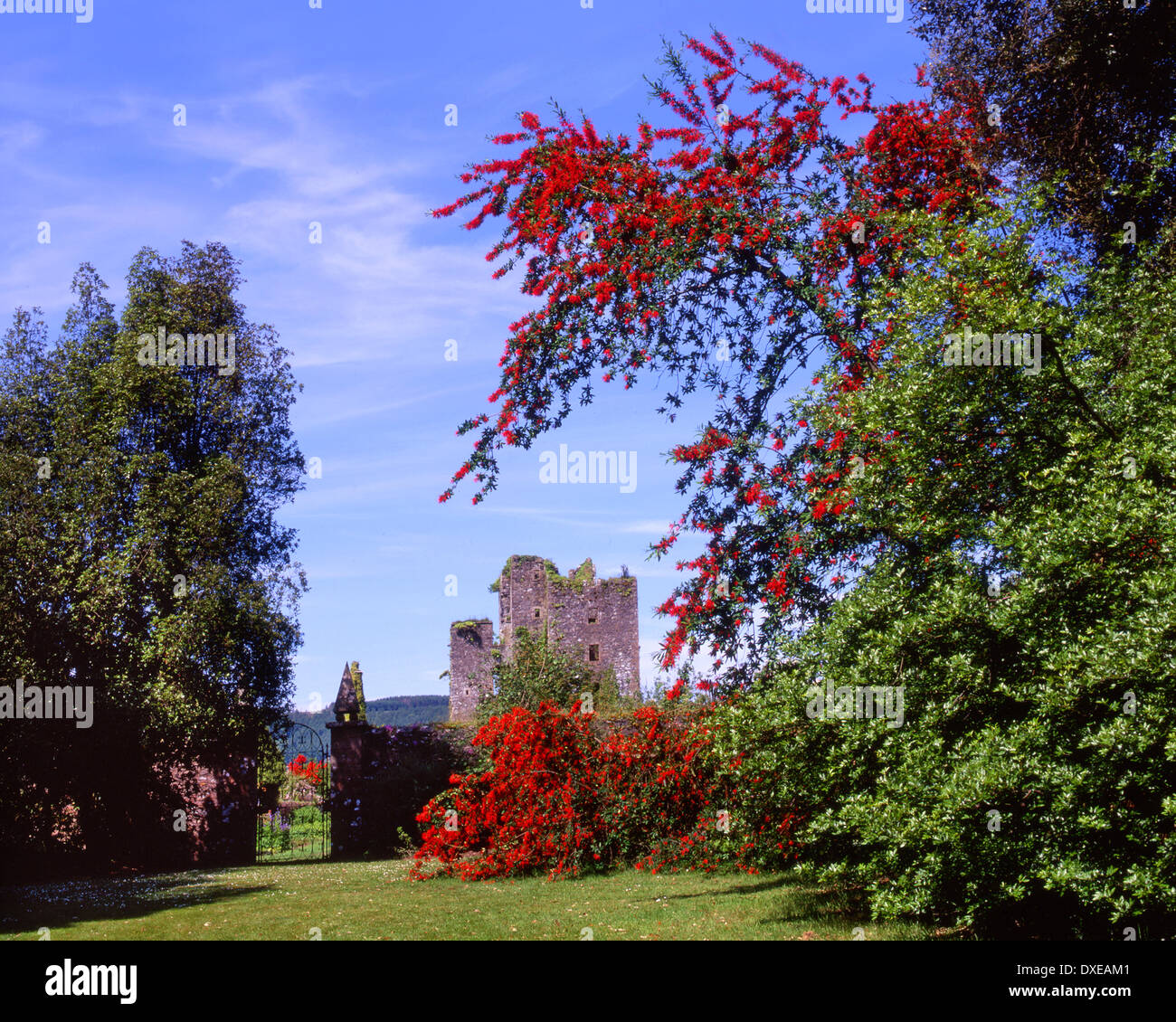 Schloss Kennedy Ruinen aus Gärten, Wigtownshire, Dumfries & Galloway, S/W Schottland. Stockfoto