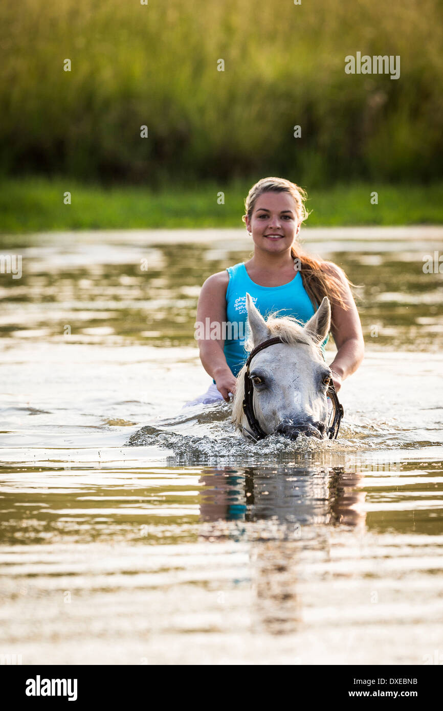 Nooitgedacht Pony. Graue Stute mit Fahrer schwimmen. Südafrika Stockfoto