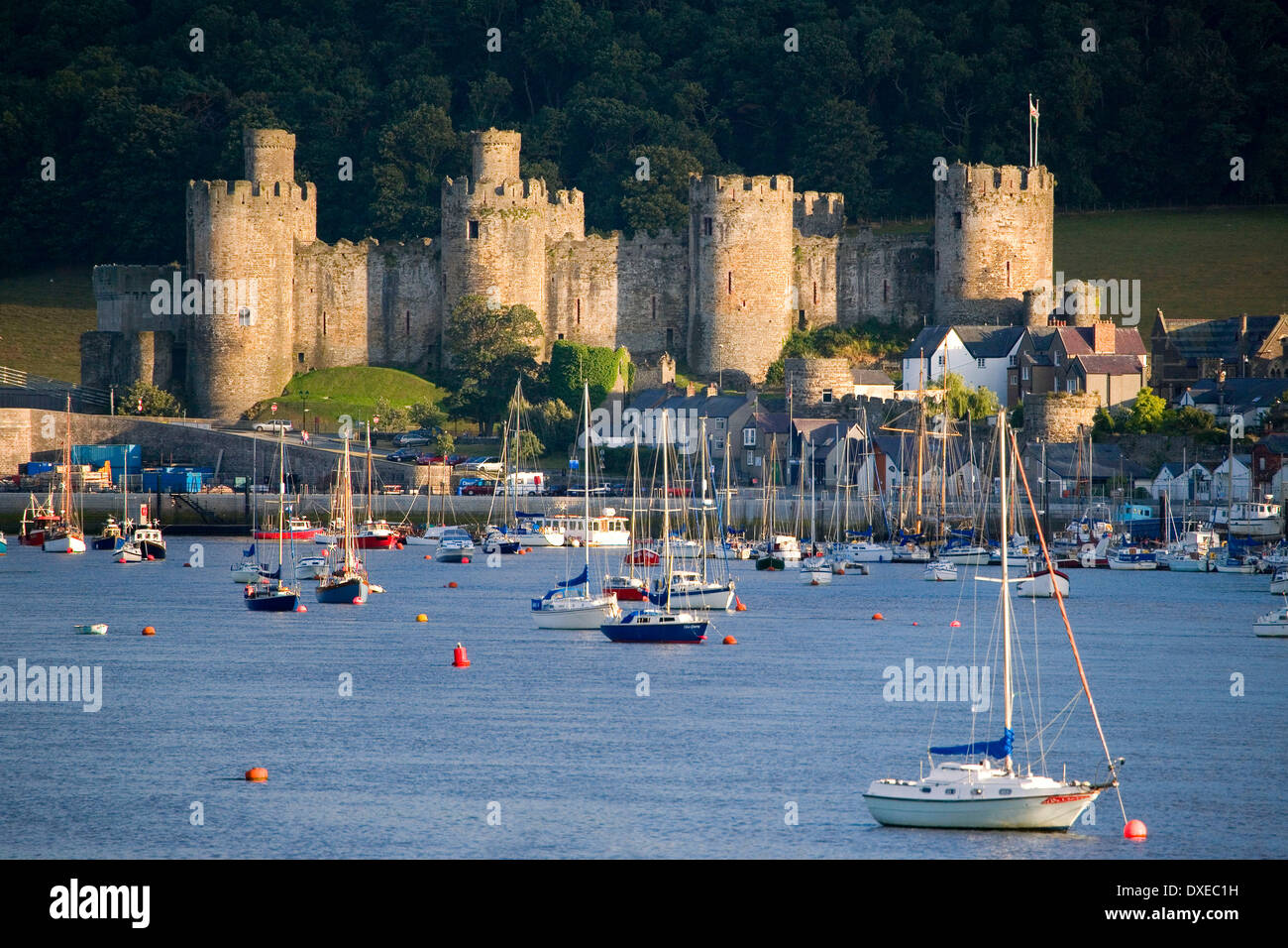 Conwy Castle, Deganwy, Nordwales. Stockfoto