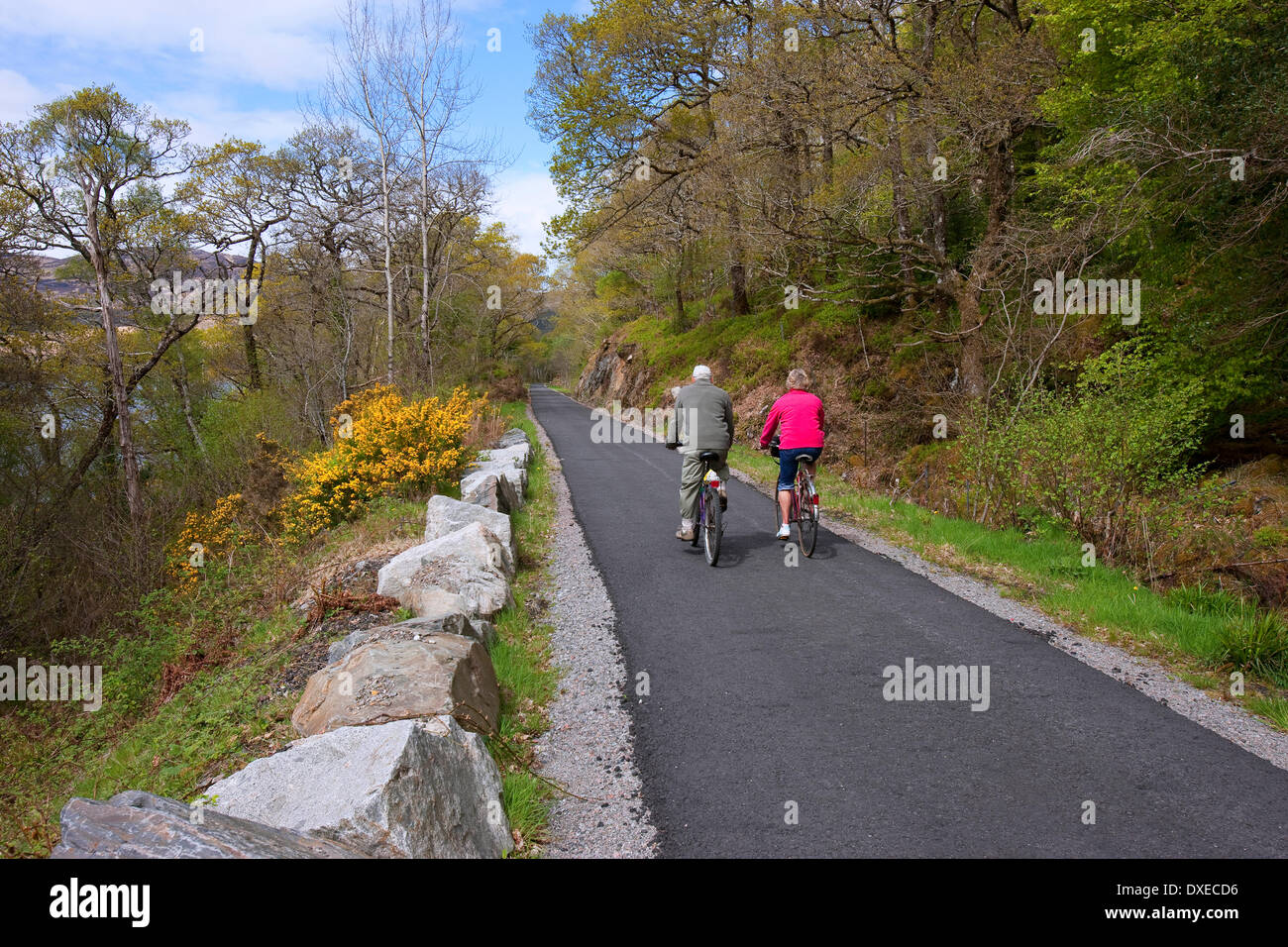 Radfahren auf der neuen Radwege, Argyll Stockfoto