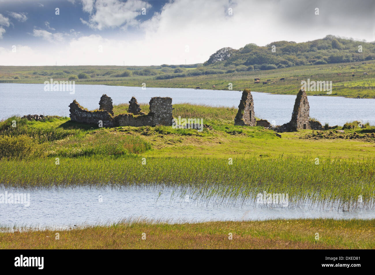 Ruinen von Eilean Mor Kapelle am Ufer des Loch Finlaggan, Islay Stockfoto
