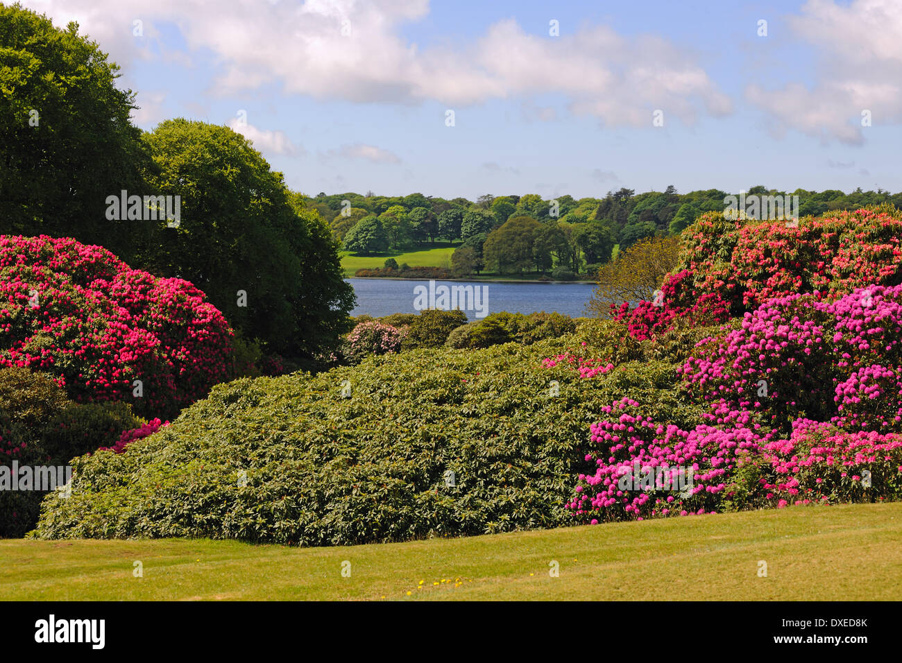 Frühling Blick von Burg, dass Kennedy in Richtung der schwarzen Loch Dumfries und Galloway Gärten. Stockfoto