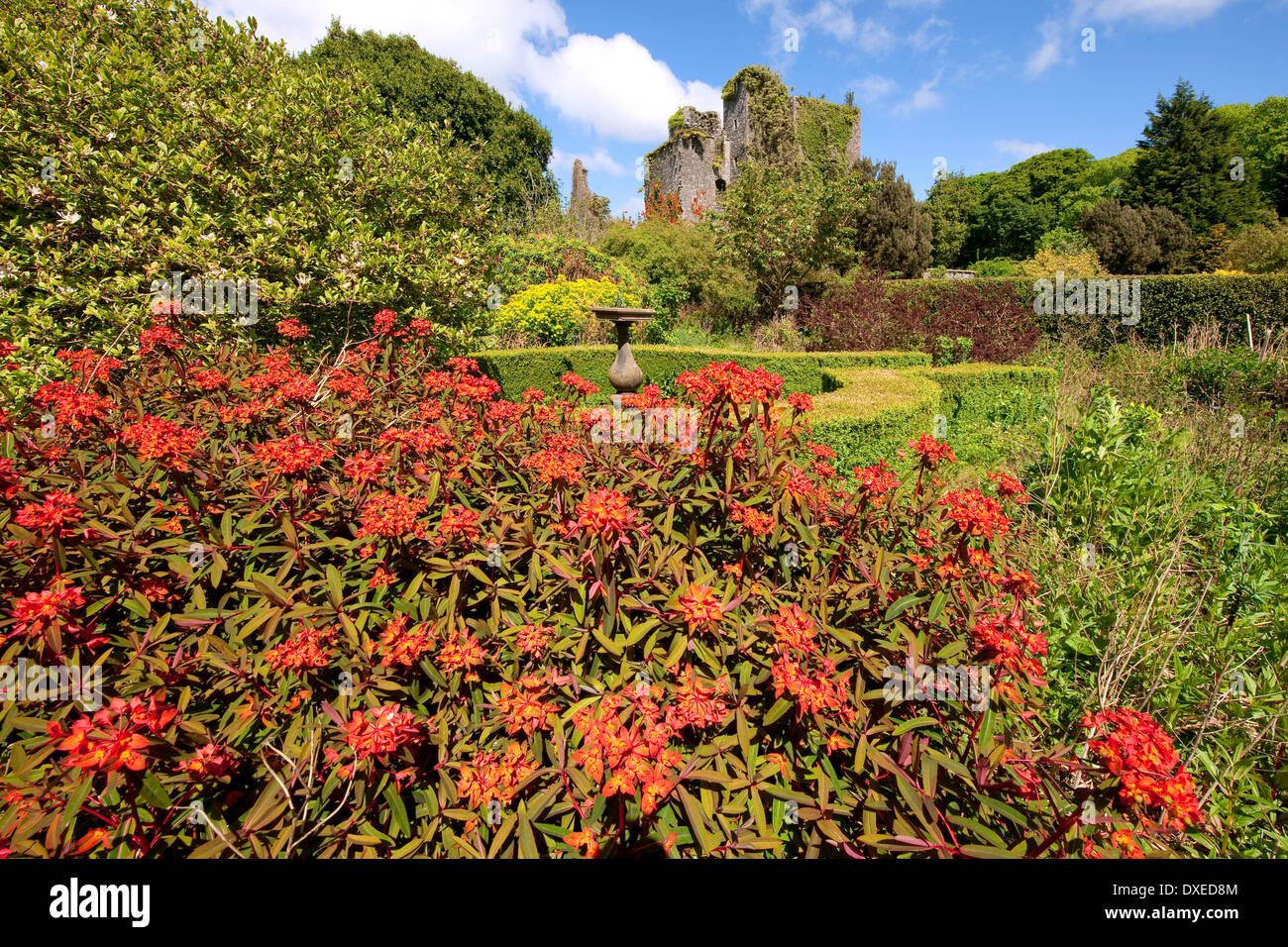 Schloss Kennedy, Dumfries & Galloway Stockfoto