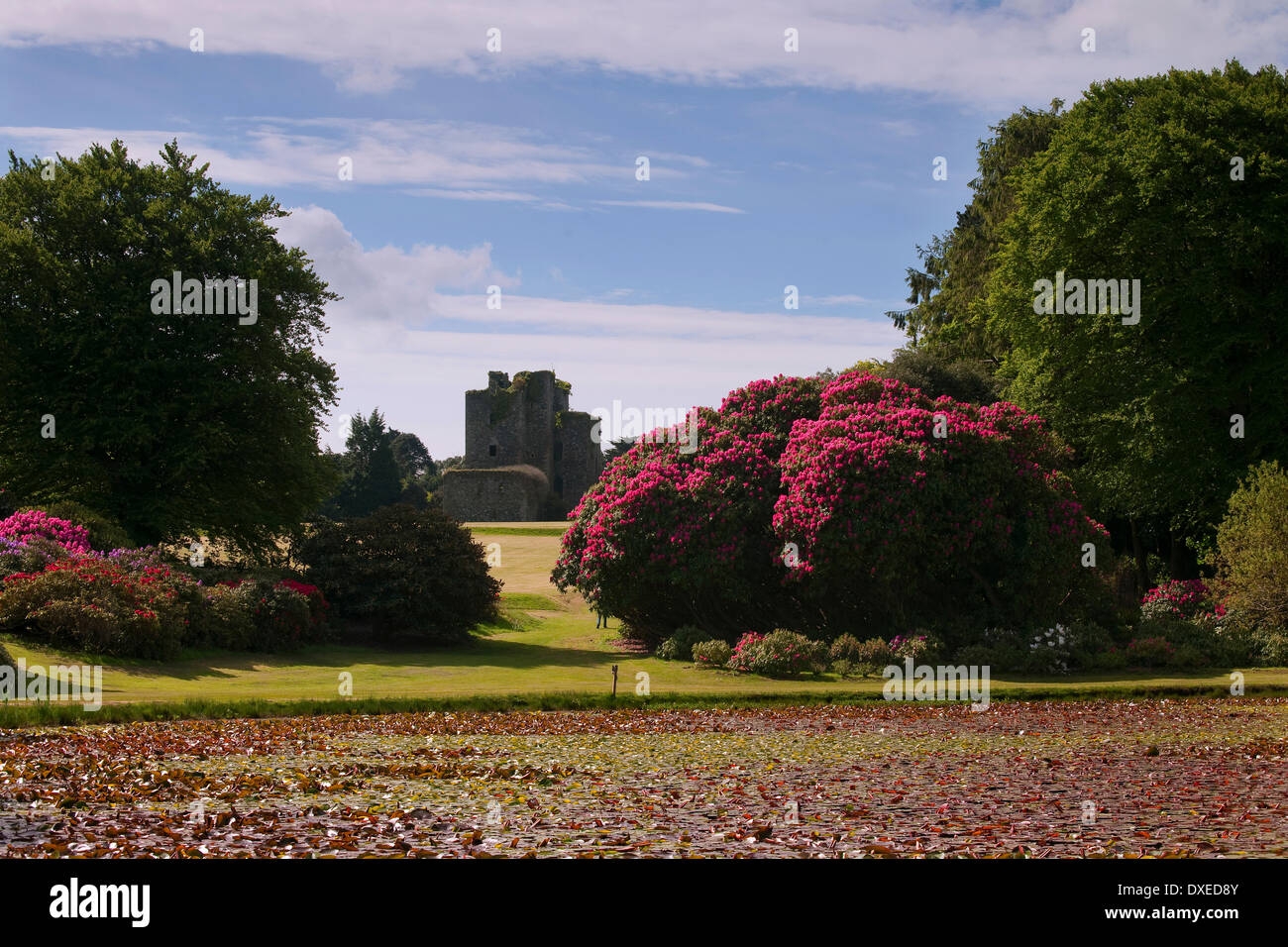 Schloss Kennedy, Dumfries & Galloway Stockfoto