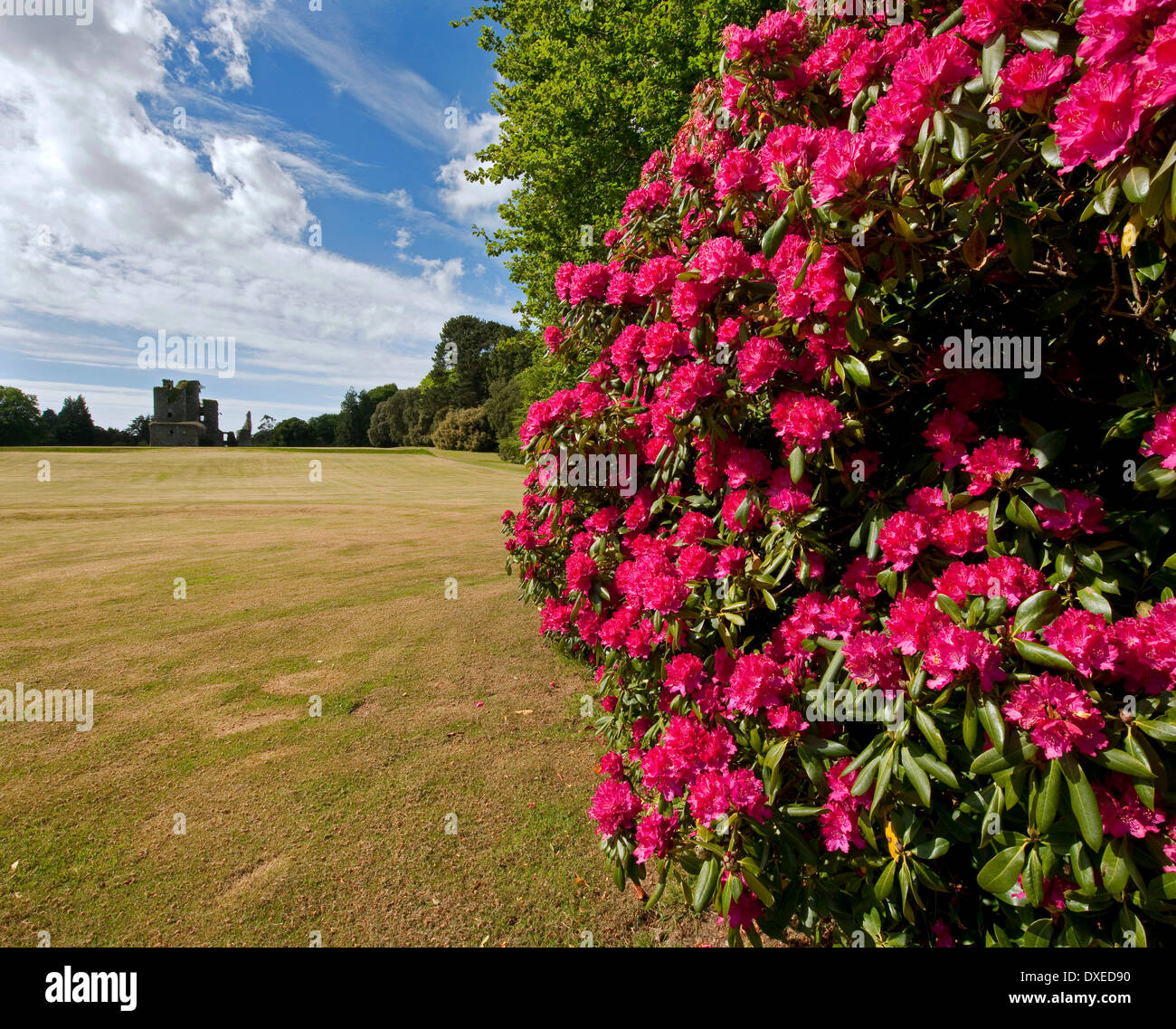 Schloss Kennedy von bunten Gärten gesehen Stranraer, Dumfries & Galloway Stockfoto
