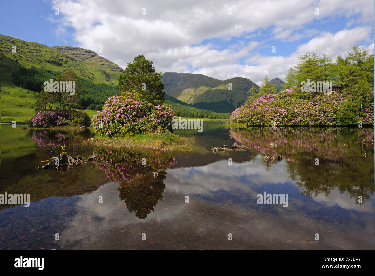 Ruhigen Reflexionen in Glen Etive, Argyll Stockfoto
