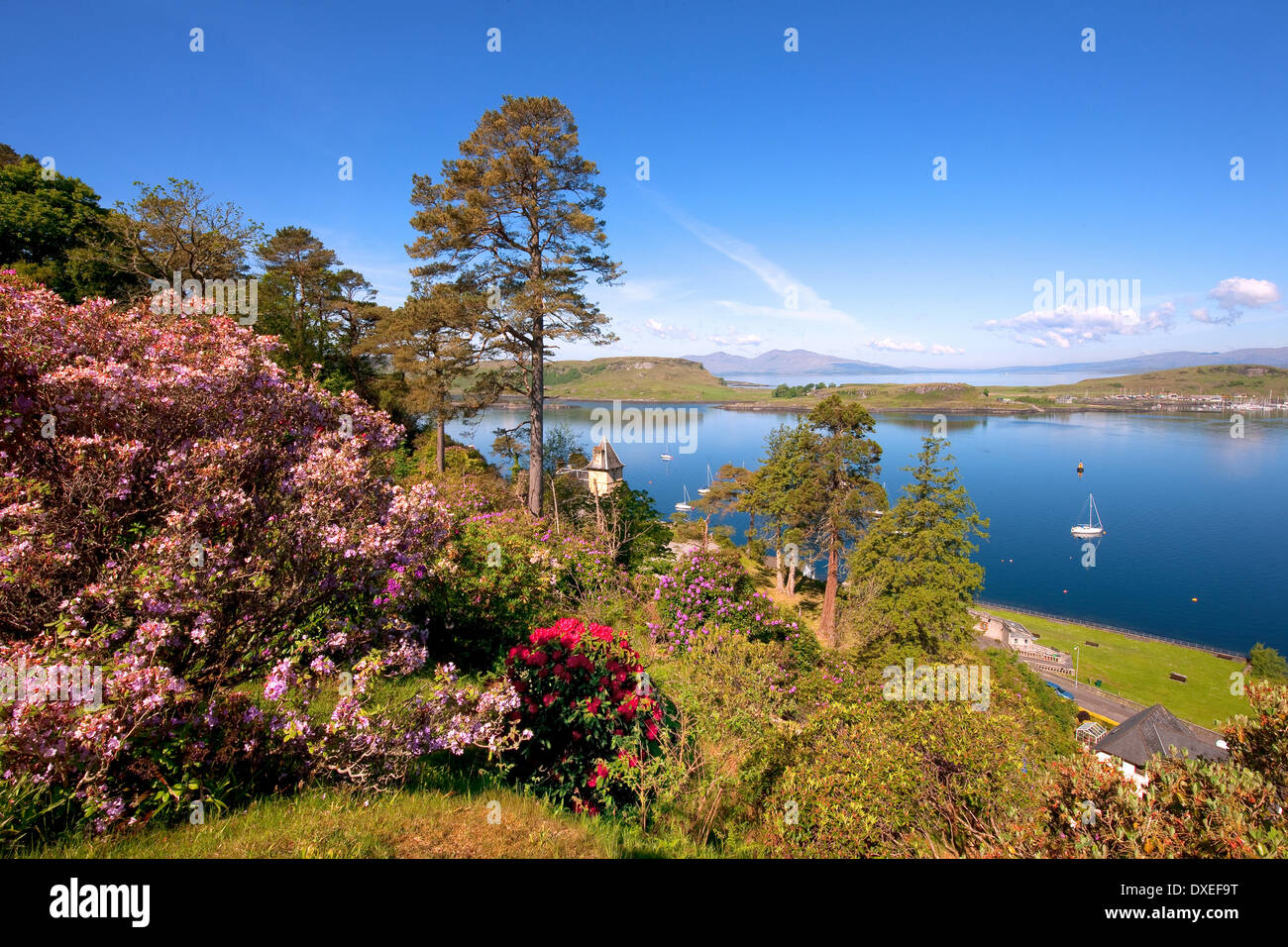 Frühling-Blick über Oban Bay auf den Inseln Kerrera und Mull.argyll. Stockfoto