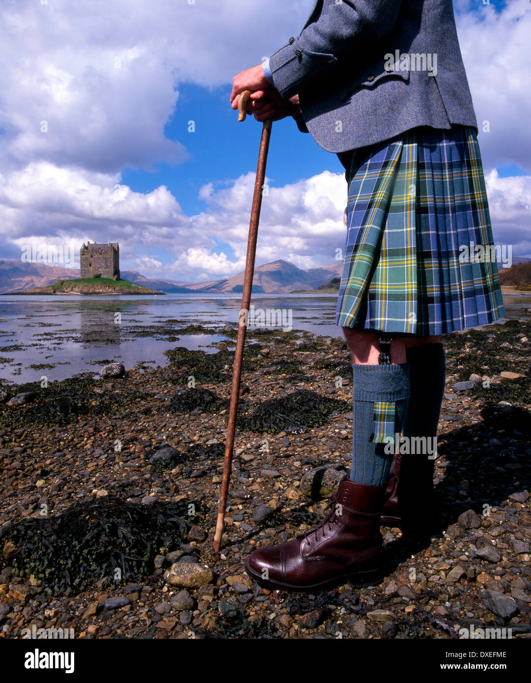 Highlander bei Castle Stalker, Appin, Argyll Stockfoto