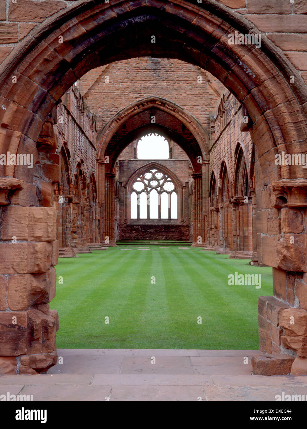 Inneren Sandsteinmauern und Langhaus in den Ruinen von Sweetheart Abbey, neue Abtei, Dumfries und galloway Stockfoto