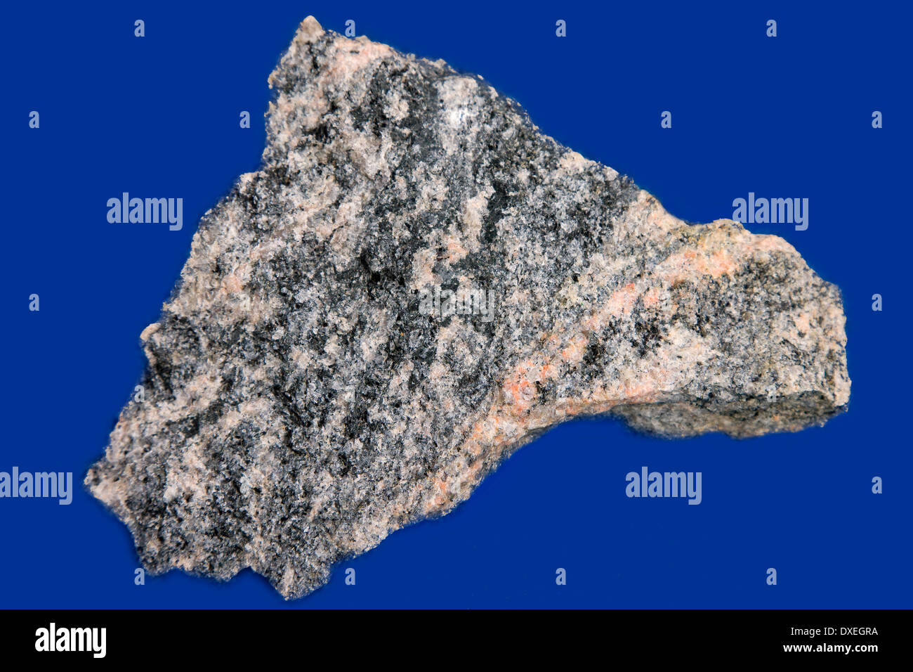 Lewisian Gneis-Gestein aus Barra, äußeren Hebriden Stockfoto