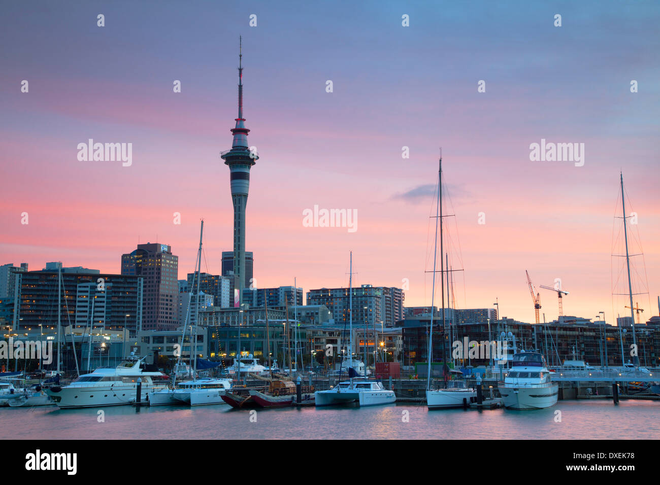 Viaduct Harbour und Sky Tower bei Sonnenuntergang, Auckland, Nordinsel, Neuseeland Stockfoto