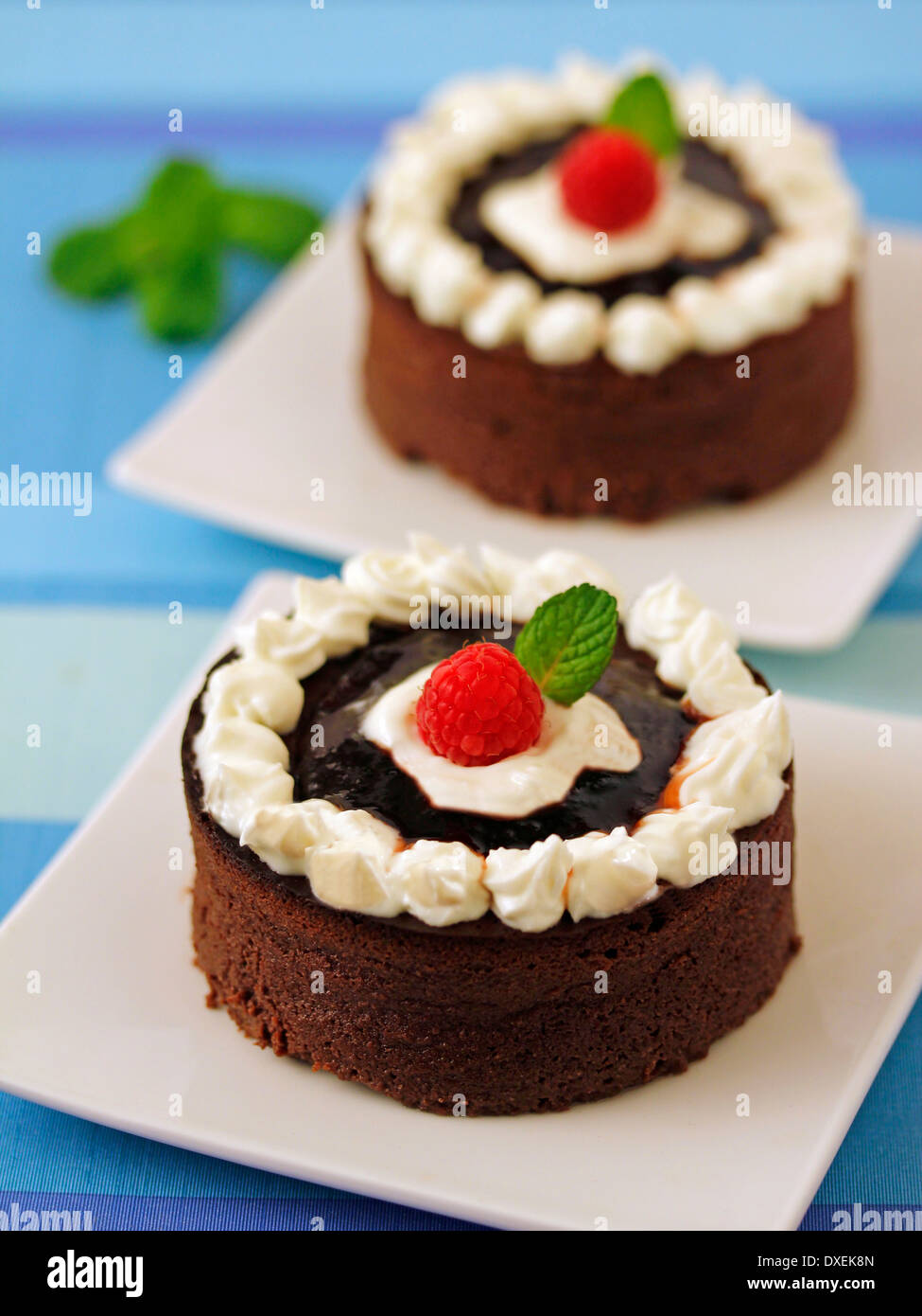 Käse-Torte mit Schokolade. Rezept zur Verfügung. Stockfoto