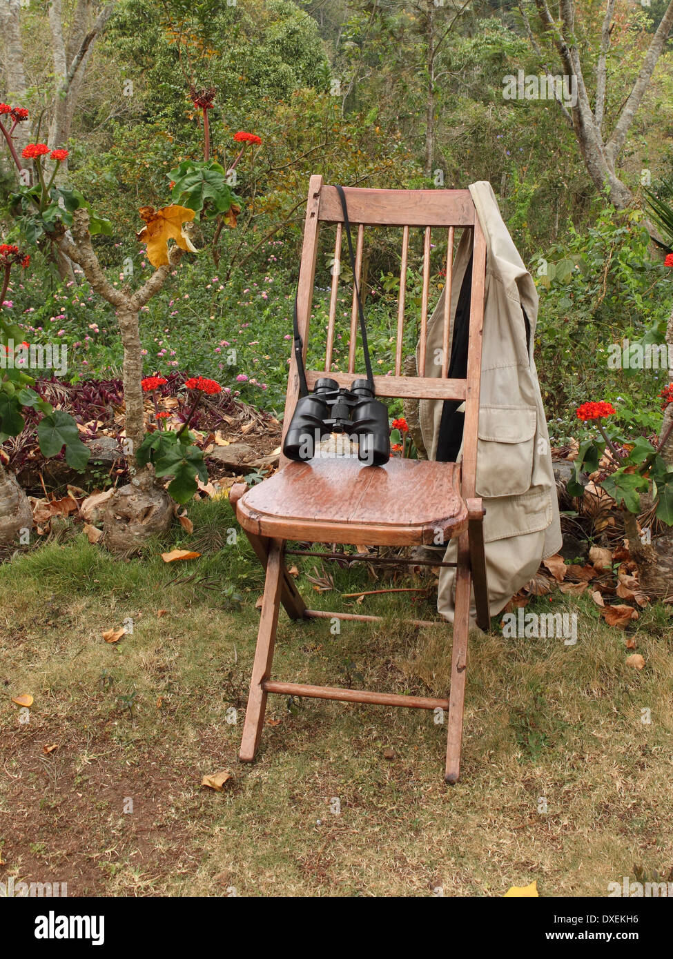 Eine Weste und ein Fernglas auf einem rustikalen Holzstuhl in einem tropischen Garten Stockfoto