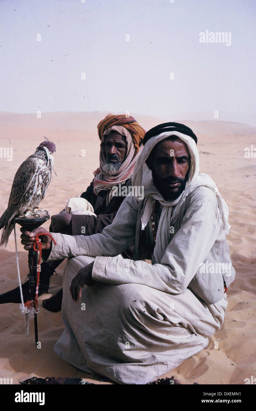 Zwei arabische Männer, ein Betrieb einen Falken in der Wüste in Abu Dhabi im Jahr 1964 Stockfoto