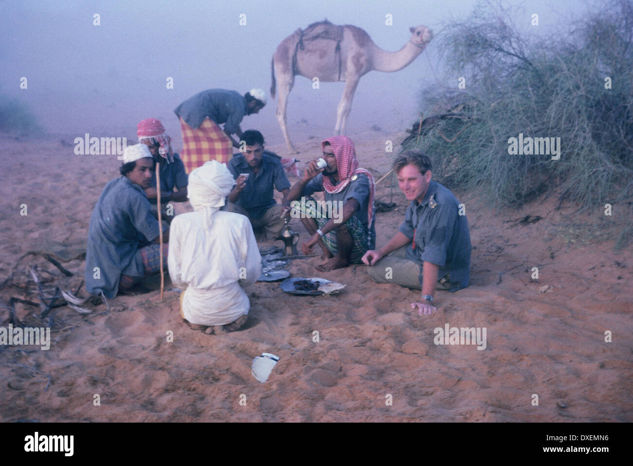 Arabische Männer und britischen Soldaten, die Kaffee in der Wüste, mit Kamel im Hintergrund. Stockfoto