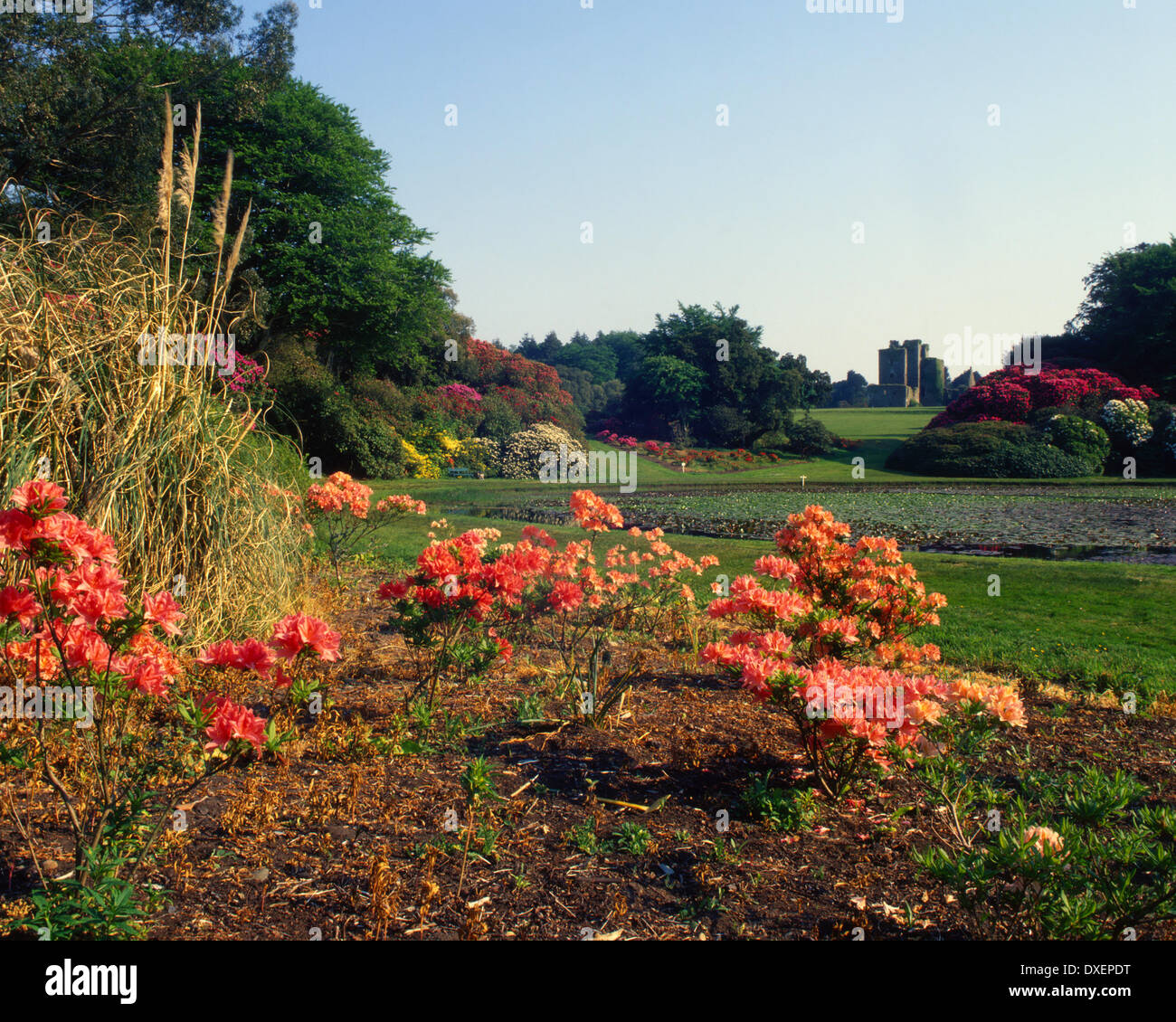 schönen Frühling Garten am Schloss Kennedy in der Nähe von Stranraer, Dumfries und galloway Stockfoto