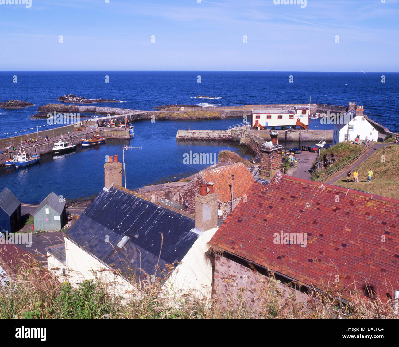 Hafen von St. Abbs, Berwickshire, Schottland S/E. , Berwickshire, Schottland S/E. Stockfoto