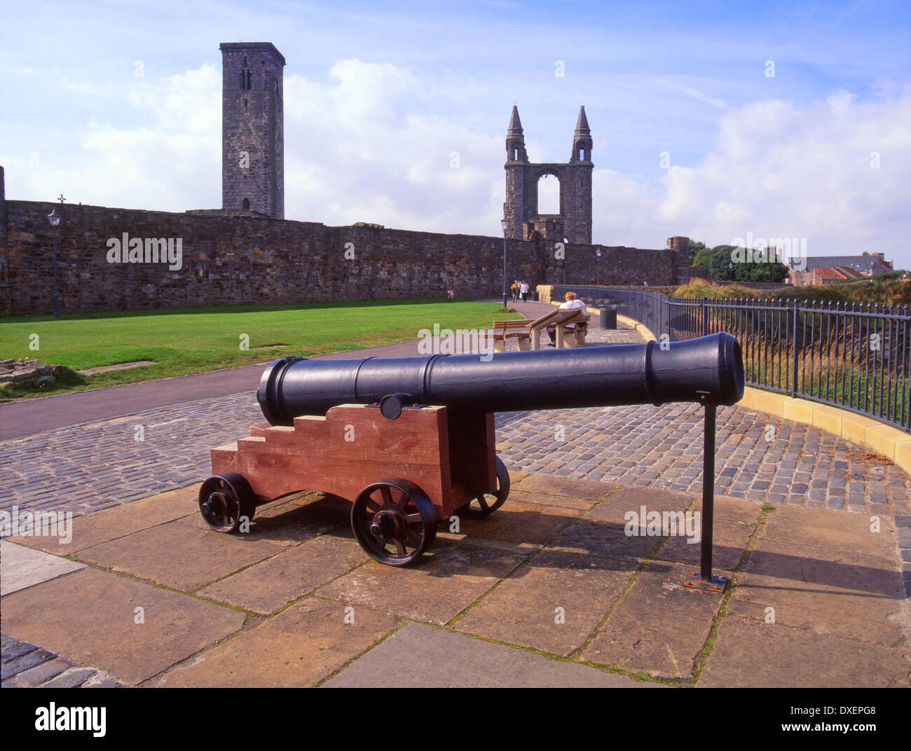 Canon außerhalb St. Andrews Cathedral Ruinen, St Andrews, Fife. Stockfoto