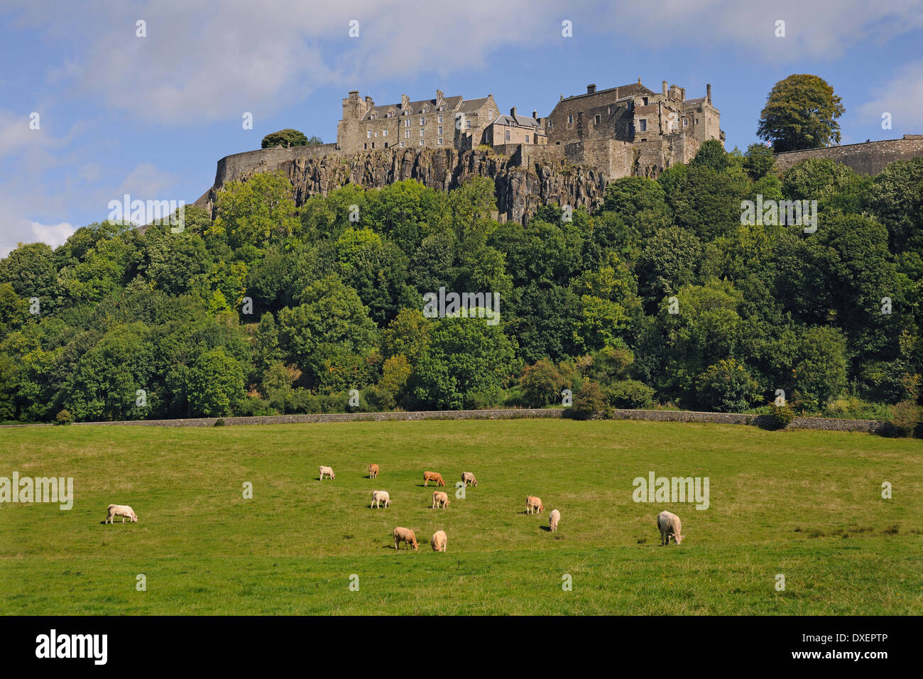 Tele-Blick auf Stirling Castle, City of Stirling, Schottland. Stockfoto